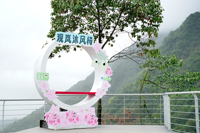 汶川賞花音樂季：光影交織的戶外文旅盛宴