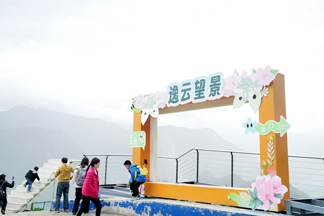 汶川賞花音樂季：光影交織的戶外文旅盛宴